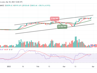 Bitcoin Price Prediction for Today, March 30: BTC/USD Bounces Above $29,000 Level