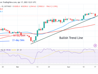 Bitcoin Price Prediction for Today, April 17: BTC Price Is Circling over the $29K Support