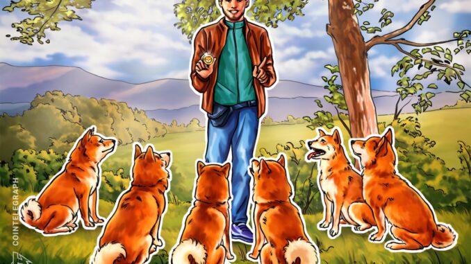 Will Shiba Inu tail Dogecoin’s price rally?