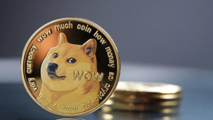 DRC-20 Hype Fest Triggers Huge Spike in Dogecoin (DOGE) Transaction Volume