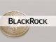 Institutional Adoption of DeFi is 'Many Years Away,' Says BlackRock Executive