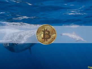 Dormant Bitcoin Whale Wakes up After 11 Years to Transfer $31M in BTC