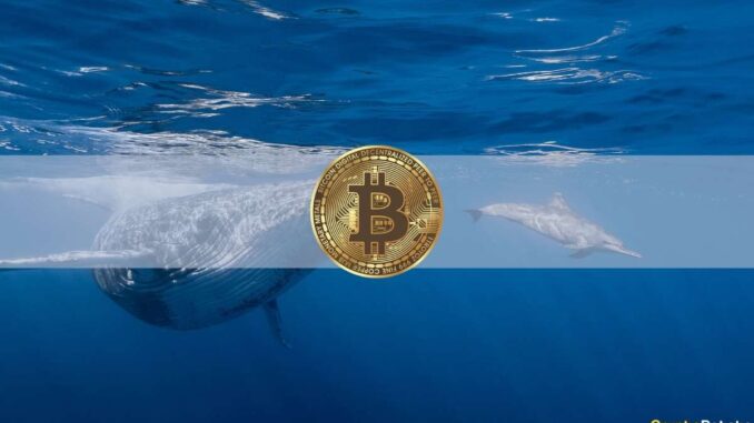 Dormant Bitcoin Whale Wakes up After 11 Years to Transfer $31M in BTC