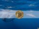 Dormant Bitcoin Whale Wakes up After 11 Years to Transfer $31M in BTC