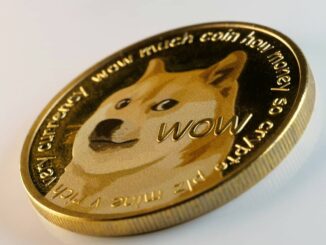 Dogecoin (DOGE) Price Stirs to Life as Elon Musk Namechecks Meme Coin