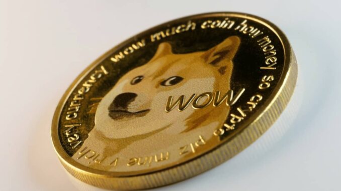 Over 5 Million Addresses Now Hold DOGE