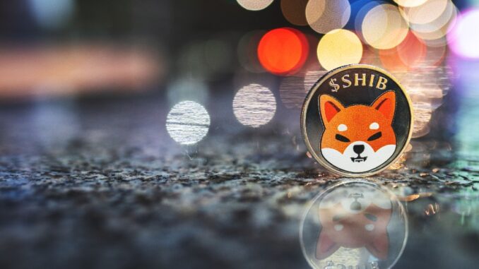 SHIB burn rate soars, PEPE market cap nears $500M, as Memeinator token presale thrives