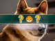 The Best Shiba Inu (SHIB) Alternatives in 2024: Meme Coin Deep Dive